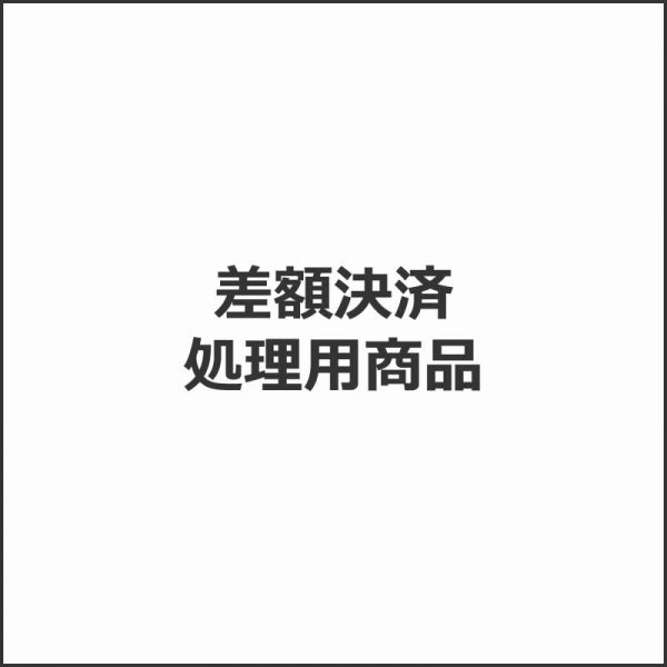 画像1: 追加送料 (1)